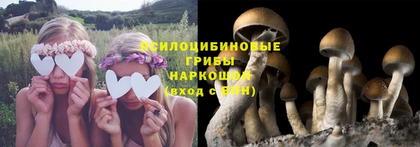 ПСИЛОЦИБИНОВЫЕ ГРИБЫ Богородицк