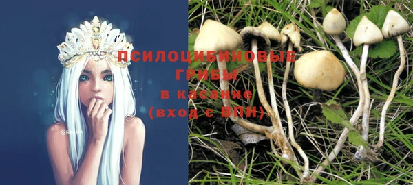 ПСИЛОЦИБИНОВЫЕ ГРИБЫ Богородицк