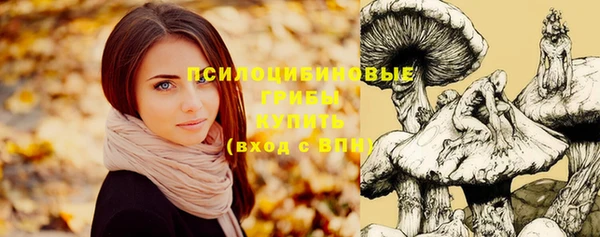 бошки Богданович