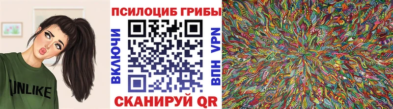 мега зеркало  Можайск  Галлюциногенные грибы мицелий 